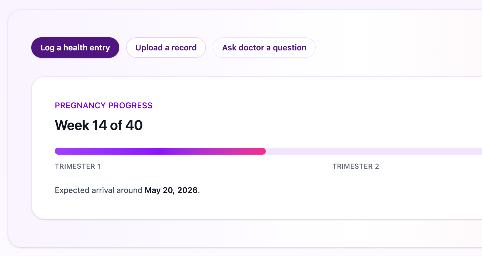 Bump n Beyond dashboard preview